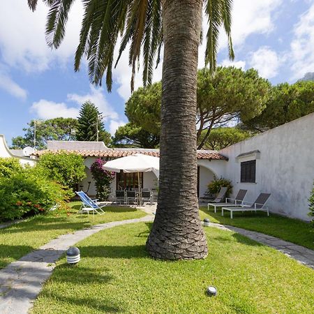 Villetta Con Giardino Esclusivo Di 1000 Mq, Piscina, Tennis, Calcio, Bocce Forio di Ischia Eksteriør billede
