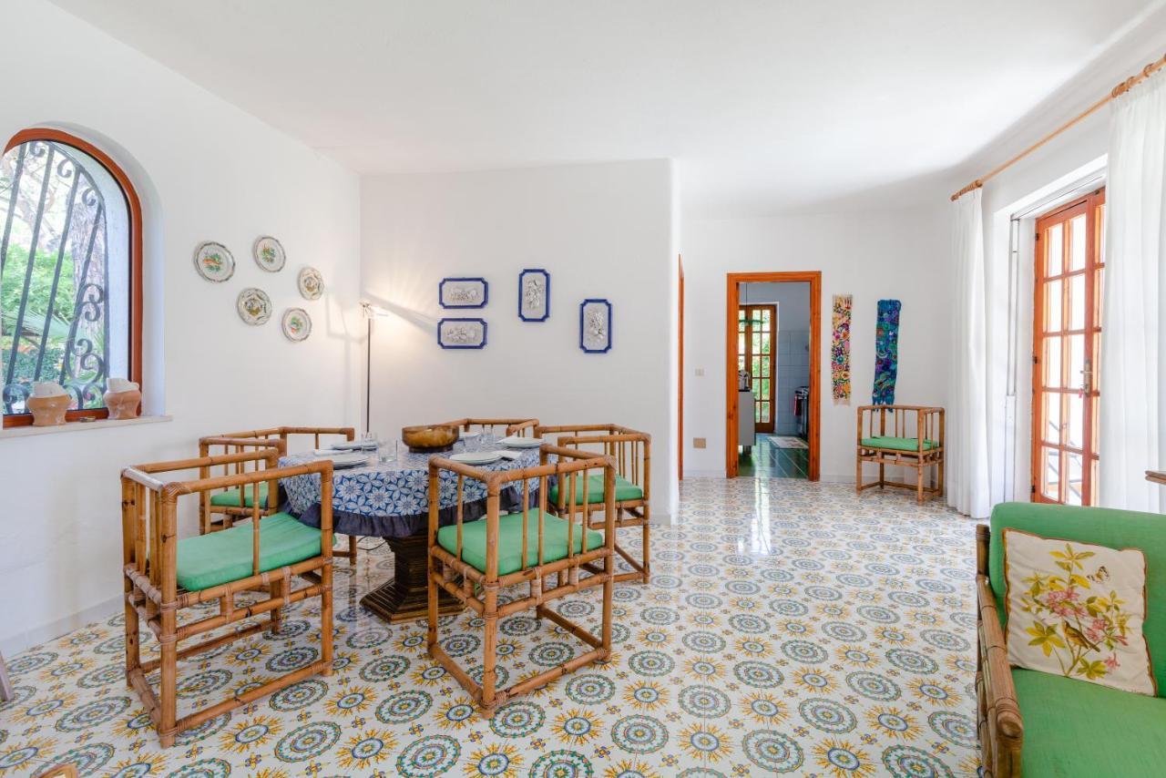 Villetta Con Giardino Esclusivo Di 1000 Mq, Piscina, Tennis, Calcio, Bocce Forio di Ischia Eksteriør billede