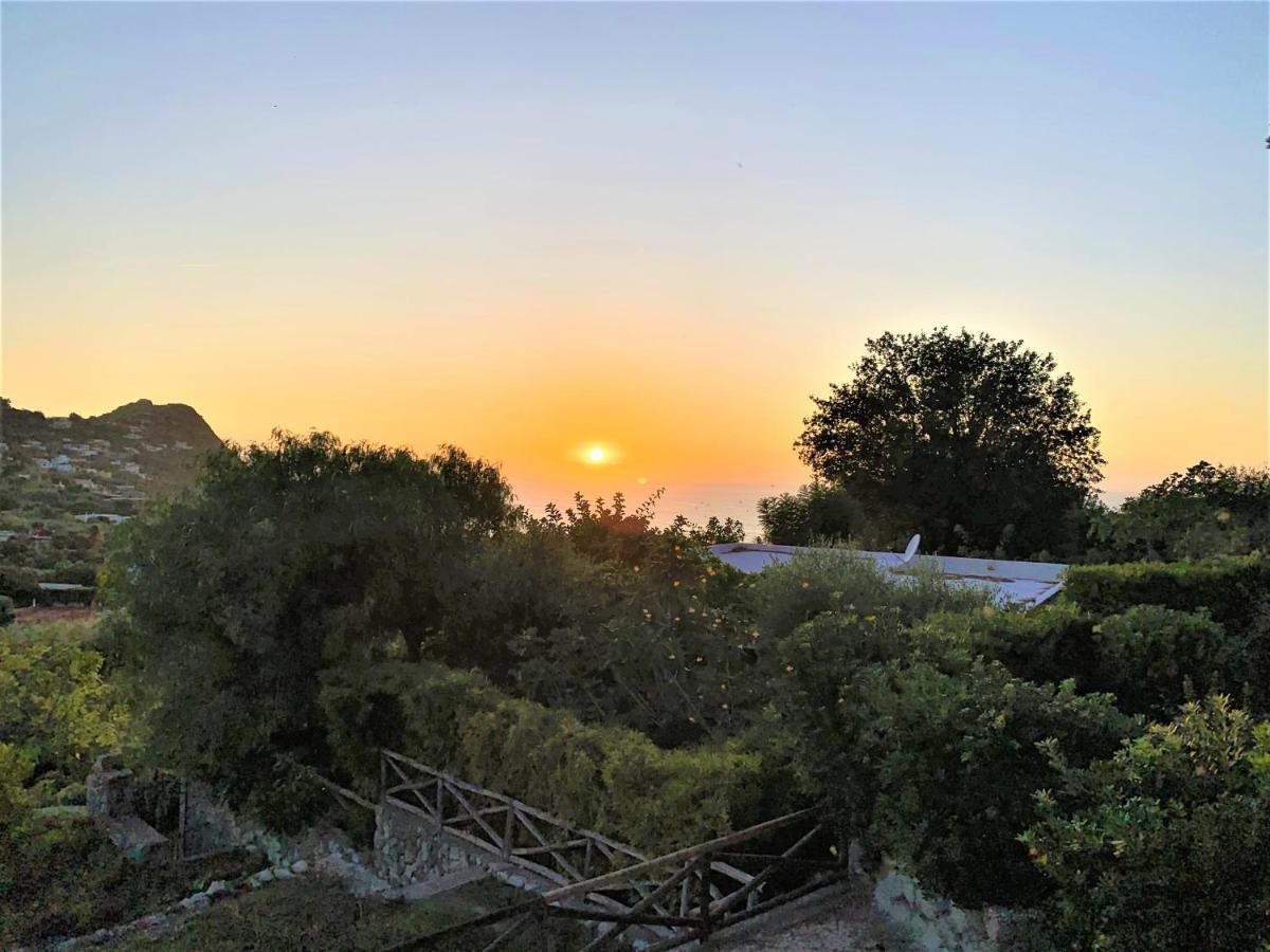 Villetta Con Giardino Esclusivo Di 1000 Mq, Piscina, Tennis, Calcio, Bocce Forio di Ischia Eksteriør billede