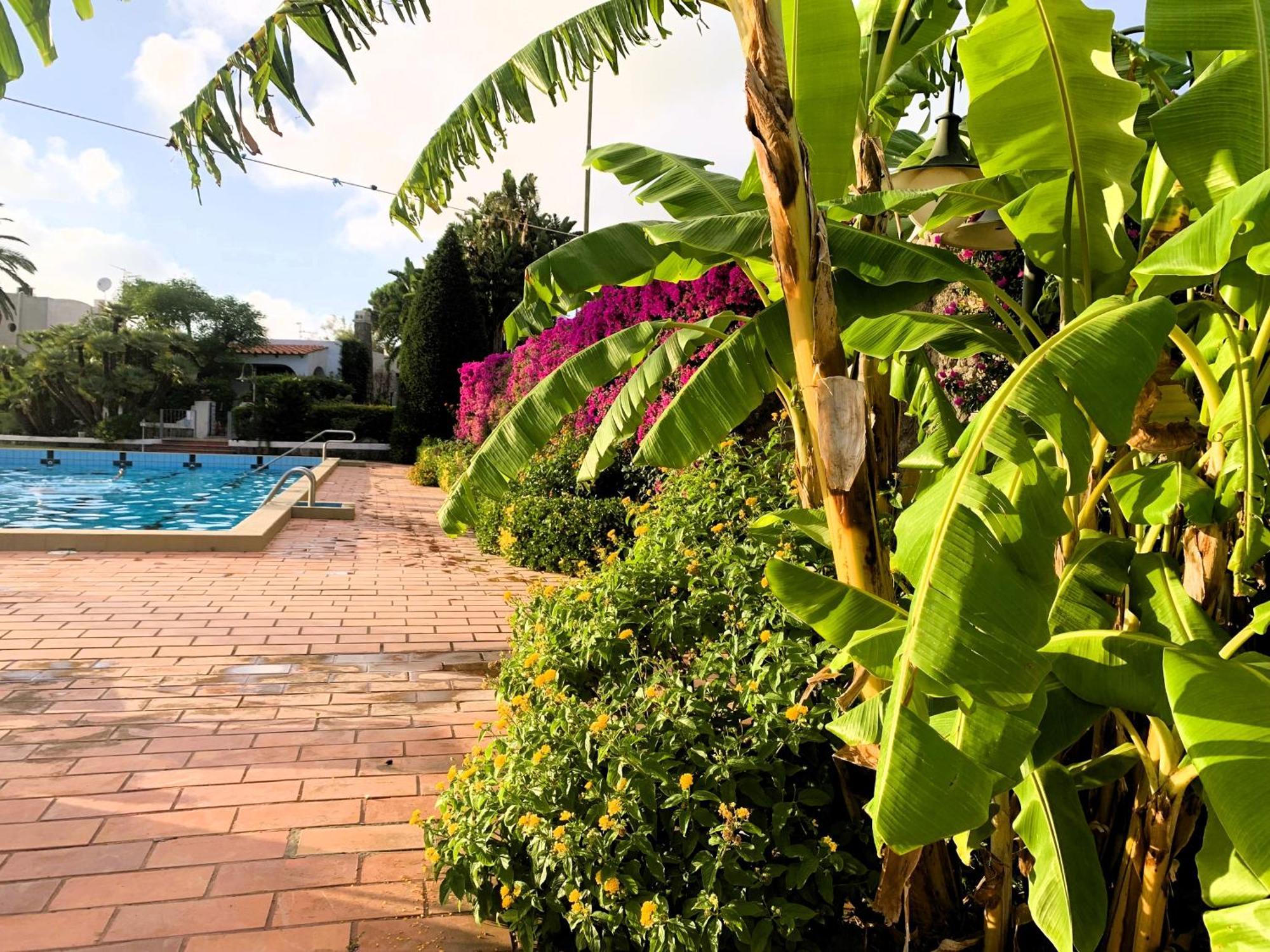 Villetta Con Giardino Esclusivo Di 1000 Mq, Piscina, Tennis, Calcio, Bocce Forio di Ischia Eksteriør billede