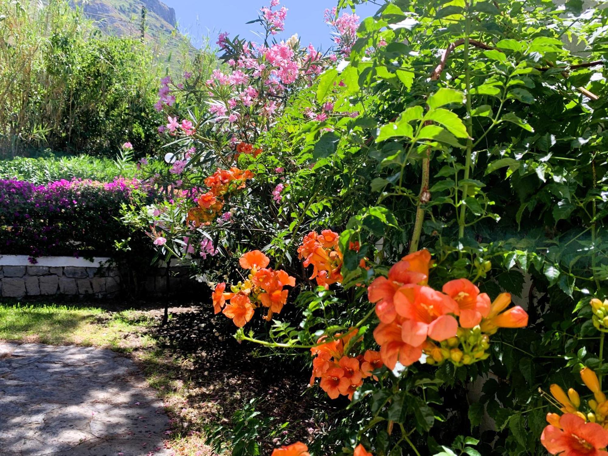 Villetta Con Giardino Esclusivo Di 1000 Mq, Piscina, Tennis, Calcio, Bocce Forio di Ischia Eksteriør billede