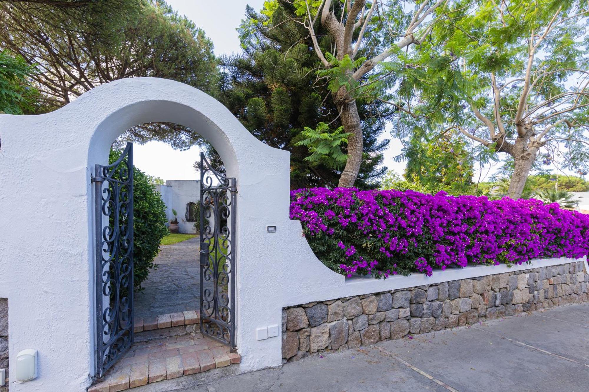 Villetta Con Giardino Esclusivo Di 1000 Mq, Piscina, Tennis, Calcio, Bocce Forio di Ischia Eksteriør billede