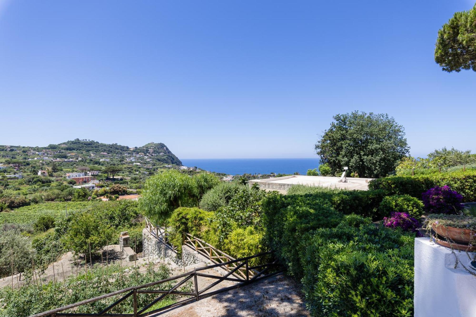 Villetta Con Giardino Esclusivo Di 1000 Mq, Piscina, Tennis, Calcio, Bocce Forio di Ischia Eksteriør billede
