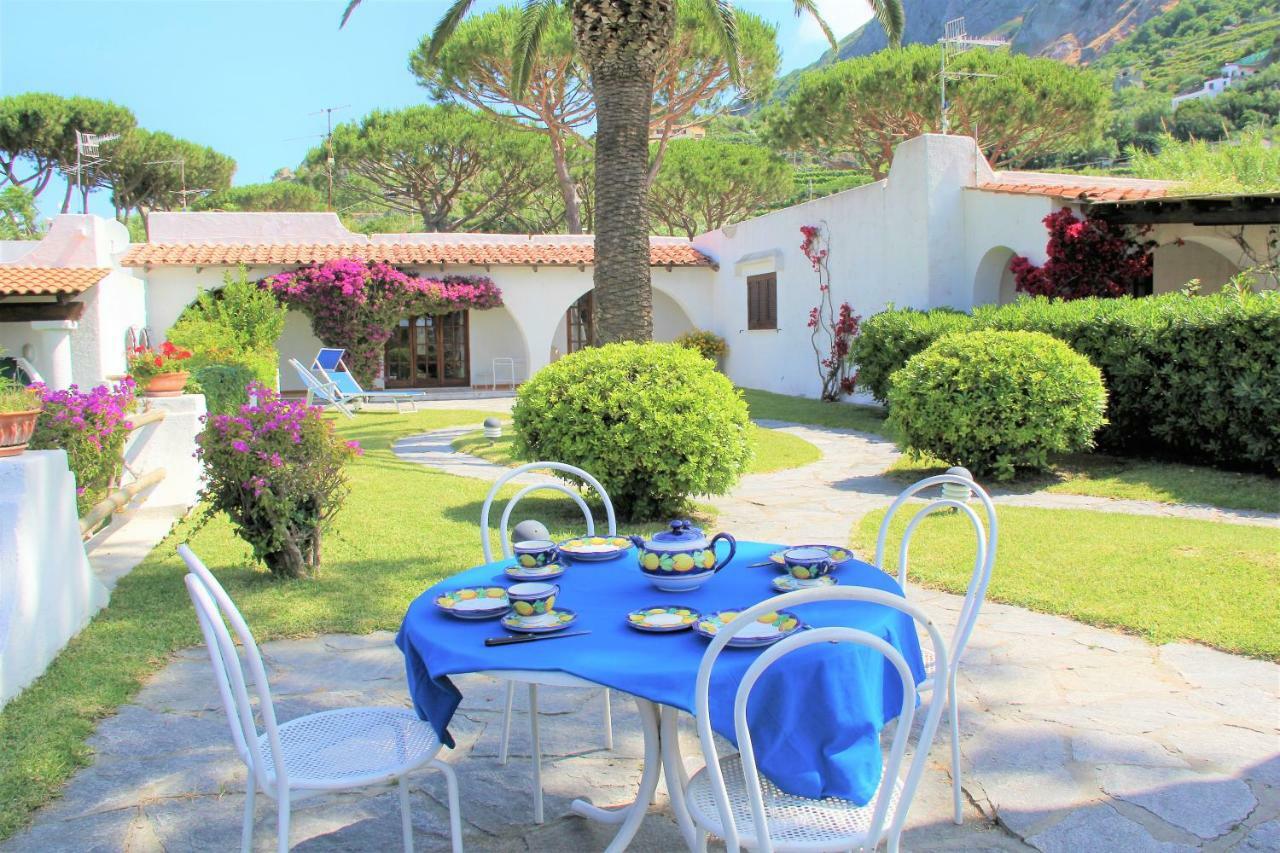 Villetta Con Giardino Esclusivo Di 1000 Mq, Piscina, Tennis, Calcio, Bocce Forio di Ischia Eksteriør billede
