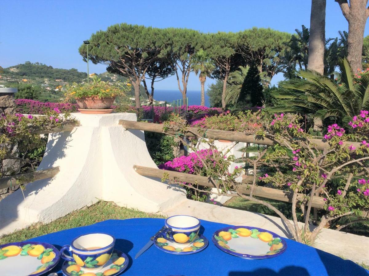 Villetta Con Giardino Esclusivo Di 1000 Mq, Piscina, Tennis, Calcio, Bocce Forio di Ischia Eksteriør billede